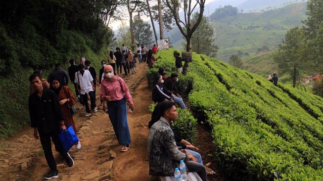 Wisatawan menikmati suasana alam Agrowisata Kebun Teh, Warpat, Puncak Pass, Kabupaten Bogor, Jawa Barat, Sabtu (7/5/2022).  ANTARA FOTO/Yulius Satria Wijaya