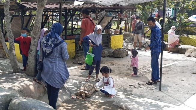 Mini Zoo Jogja Exotarium Diserbu Wisatawan Saat Libur Lebaran, Pengunjung Tembus 2.000 Lebih