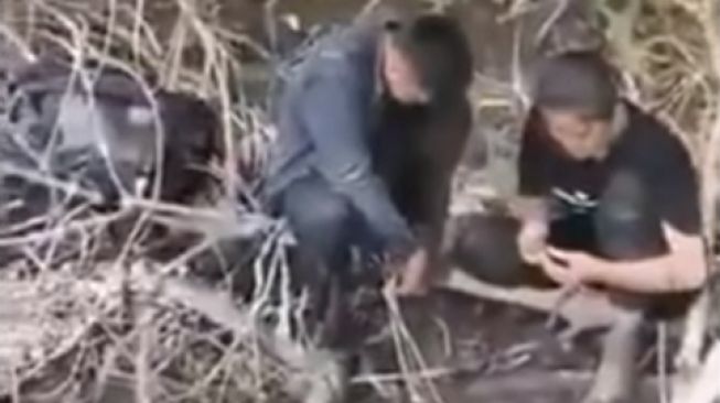 Video Viral Sekelompok Orang Ngaku 'Dibuang' di Pulau: Kami Ini Manusia Bukan Binatang