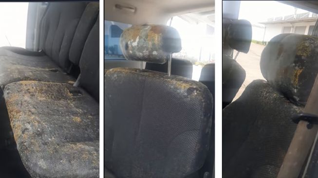 Interior Daihatsu Luxio ditumbuhi jamur usai diparkir selama 10 hari karena ditinggal mudik (Facebook)