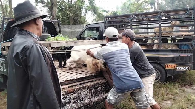 Peternak kambing di Mojokerto ditutup sementara [Foto: Beritajatim]