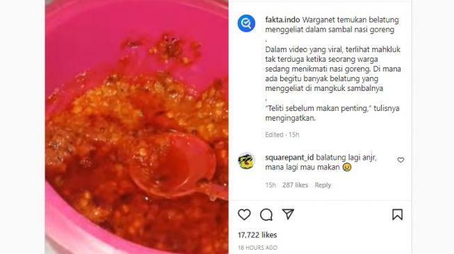 Usai Bakso Dikerumuni Belatung Viral, Pria Ini Temukan Hal Sama Dalam Sambal Nasi Goreng Miliknya