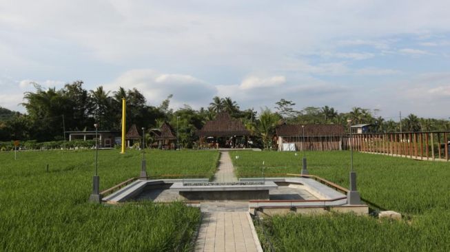 Menilik Eksotisme Desa Karangrejo Magelang yang Disulap Jadi Lokasi Balkonjazz 2022 Borobudur Digelar