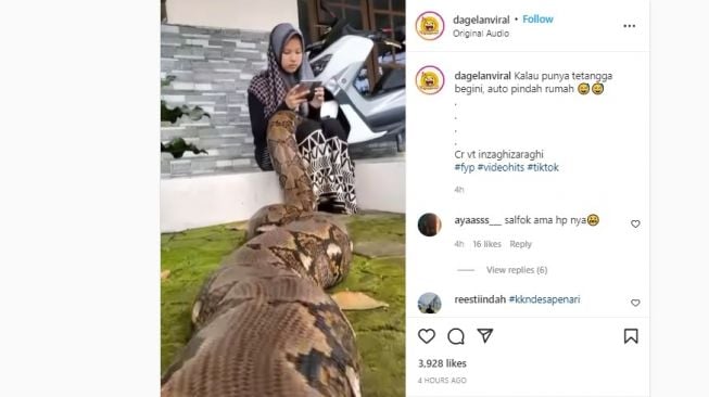 Viral Cewek Duduk Manis Main HP Ditemani Ular Besar, Netizen Sebut Titisan Badarawuhi