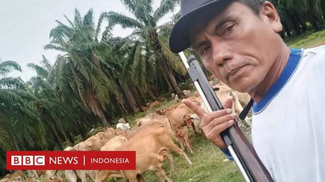 Penyakit Mulut dan Kuku Hewan Meluas: Mengapa Masyarakat Perlu Khawatir?