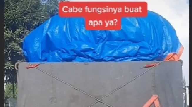 Viral Video Mobil Pick Up Sedang Bawa Muatan di Bagian Belakangnya Ditempeli Cabai, Netizen Penasaran Fungsinya