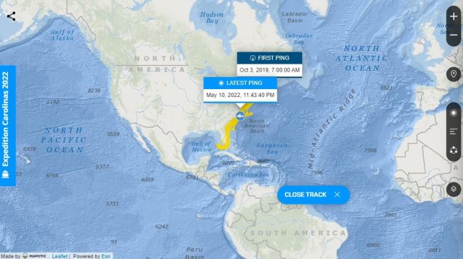 Lokasi migrasi Hiu Putih Besar, Ironbound. [Ocearch.org]