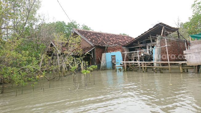 Warga Tambaklorok Semarang Keluhkan Air Rob Masuk Rumah Setiap Hari