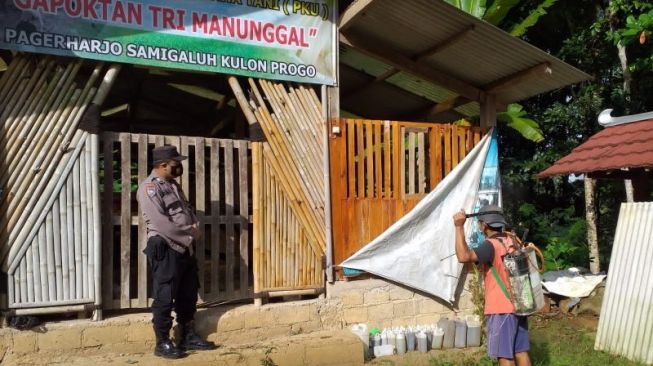 Dinas Pertanian dan Pangan Kulon Progo melalui petugas di setiap kecamatan melakukan penyemprotan disinfektan kandang ternak mengantisipasi penyebaran penyakit mulut dan kuku. (ANTARA/HO-Dokumen Dinas Pertanian dan Pangan Kulon Progo)