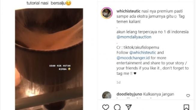 Penampakan mangkuk nasi ditinggal mudik viral hingga mirip hutan belantara (Instagram/@whicisteutic)