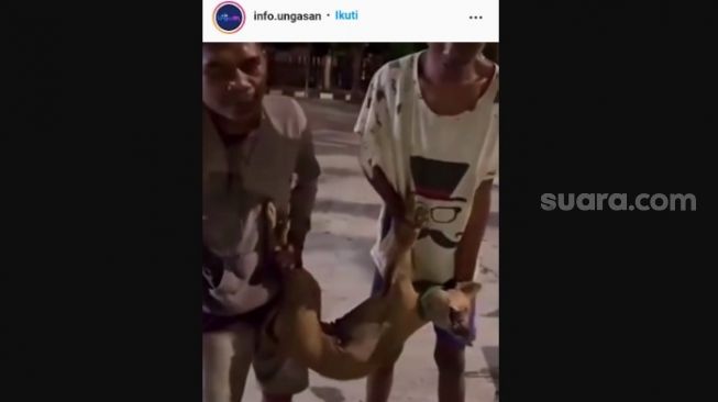 Viral Dua Pemuda Ini Dihukum Bernyanyi Karena Tertangkap Basah Mencuri Anjing