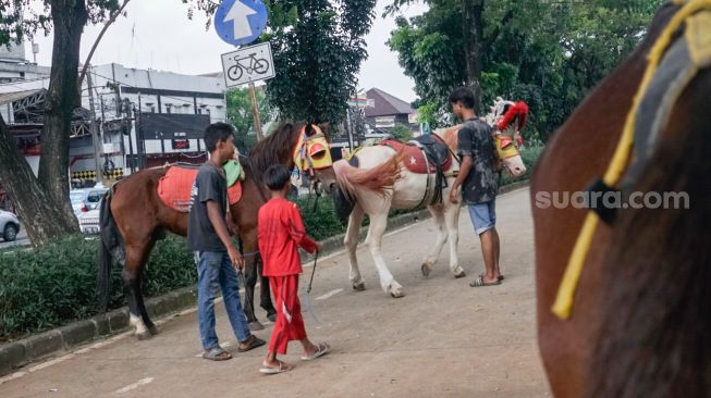 Seorang kusir mempersiapkan kuda untuk ditunggangi di kawasan Kanal Banjir Timur (KBT), Jakarta Timur, Senin (16/5/2022). [Suara.com/Alfian Winanto] 