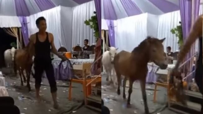 Nikahan Pakai Jalan Kampung, Warga Angon Kuda Mampir ke Tenda Pernikahan, Pengantin Cuma Bisa Tertawa