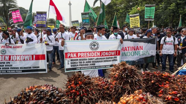 Harga Sawit Terjun Bebas saat Pupuk Mahal, Petani Riau ke Pemerintah: Tolong Stabilkan!