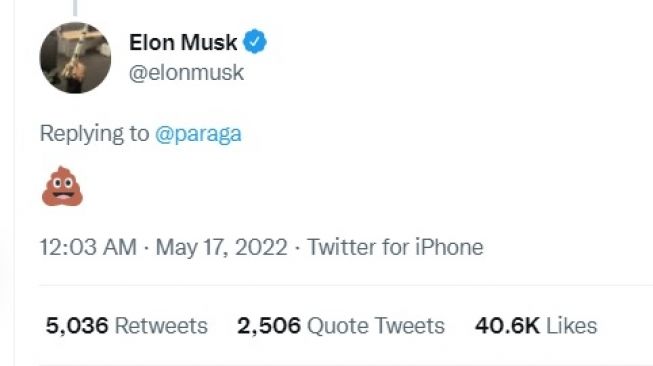 Cuitan Cuitan Elon Musk tanggapi postingan CEO Twitter, Parag Agrawal. [Twitter]