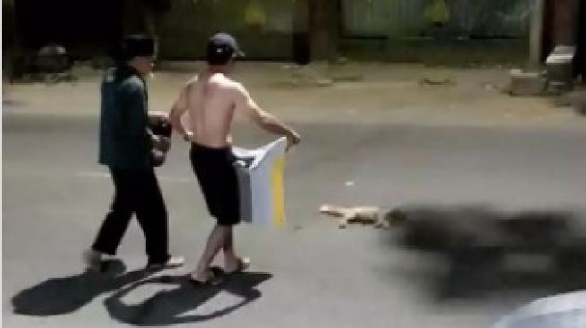 Viral Pemuda Lepas Kaos Demi Kucing yang Mati Tertabrak di Malang, Warganet: Semoga Kebaikannya Menular