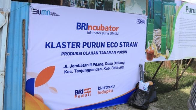UMKM Binaan BRI Ganti Sedotan Berbahan Plastik dari Rumput Purun yang Ramah Lingkungan