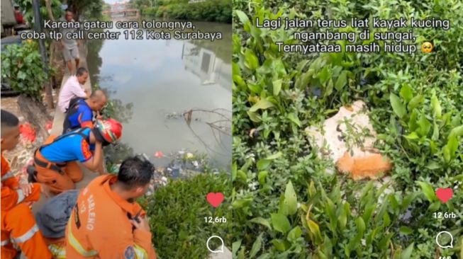 Ditonton 100Ribu Kali, Aksi Selamatkan Kucing Tercebur Sungai Tuai Pujian!