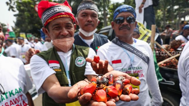 Petani Sawit yang tergabung dalam Asosiasi Petani Kelapa Sawit Indonesia (Apkasindo) menggelar aksi demonstrasi di depan Patung Kuda Arjuna Wijaya, Jakarta Pusat, Selasa (17/5/2022). [Suara.com/Alfian Winanto]