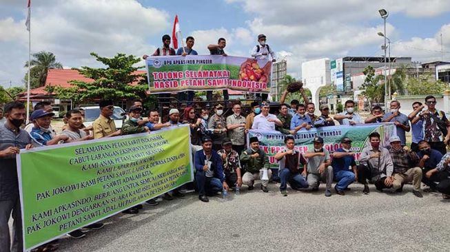 Para petani kelapa sawit saat membentang spanduk protes kepada pemerintah. [Suara.com/Panji Ahmad Syuhada)]