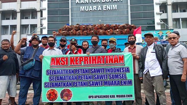 Petani Sawit Sumsel Aksi Keprihatinan Bawa TBS ke Kantor Bupati, Minta Larangan Ekspor CPO Dicabut