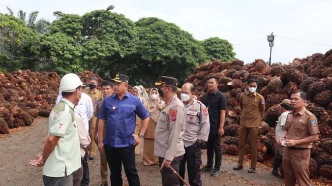 Sutan Riska Sidak Pabrik Kelapa Sawit Akibat Anjloknya Harga Tandan Buah Segar