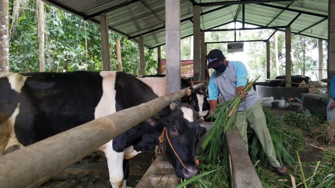 Baznas Gelar Sosialisasi Pencegahan PMK pada Hewan Ternak