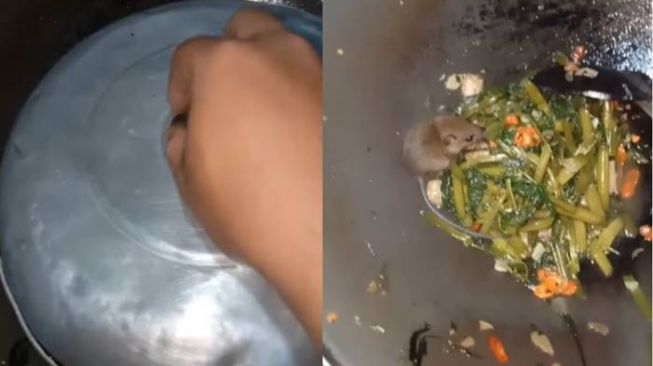 Tangkapan layar seekor tikus masuk ke dalam wajan berisi sayur. (Instagram/@parodireceh.id)
