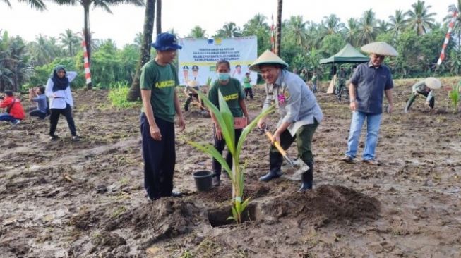 Kementerian Pertanian Minta Petani di Sulawesi Utara Terus Budidaya Kelapa