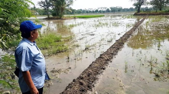 Arkeolog Temukan Sisa-sisa Peradaban Kuno di Indramayu, Berkembang Sejak Awal Masa Klasik di Tanah Jawa