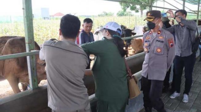 Cegah PMK, Wakapolres Tegal Tinjau RPH