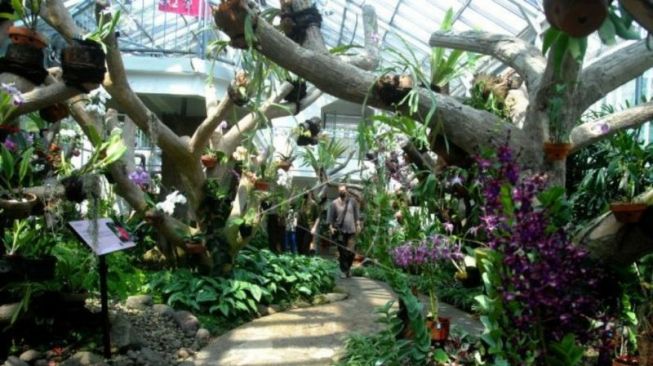 Ultah ke-205, Kebun Raya Bogor Punya Griya Anggrek, Wahana Baru untuk Riset, Konservasi dan Wisata