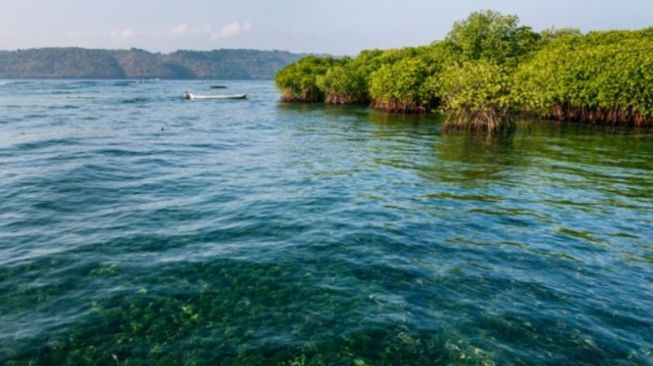 Lahan Seluas 138.661,42 Ha di Timur Pulau Bintan Jadi Kawasan Konservasi Baru