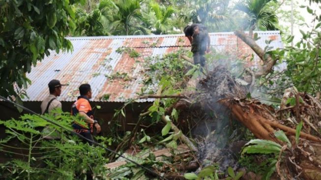 Rumah Warga Padang Rusak Dihantam Pohon Tumbang