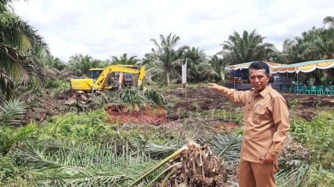 Larangan Ekspor CPO Dicabut, Kalbar Berharap Bisa Pulihkan Industri Sawit di Wilayahnya