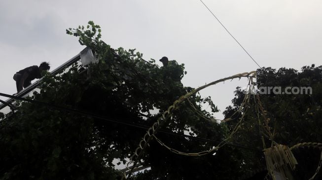 Pekerja membongkar dekorasi pernikahan di kediaman Maudy Ayunda di kawasan Cilandak, Jakarta, Senin (23/5/2022). [Suara.com/Angga Budhiyanto]