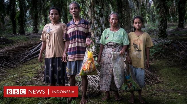 Tiga Generasi Suku Anak Dalam Mengaku Tertipu Janji Perusahaan Sawit