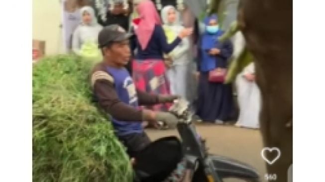 Viral, Pemotor Angkut Rumput Nekat Terobos Acara Nikahan di Jalan Umum