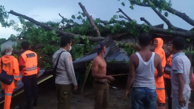 Anambas Diterpa Angin Puting Beliung, Sejumlah Tiang Listrik dan Pohon Tumbang