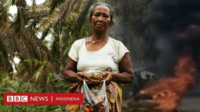 Mengapa Perusahaan Sawit Indonesia Dituduh Tak Sediakan Kewajiban Hukumnya?