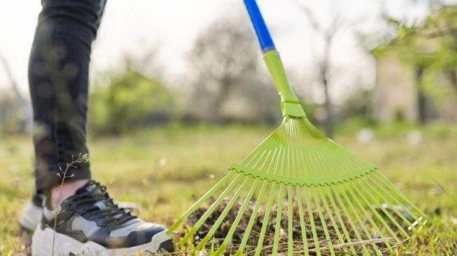 Kurangi Sampah Plastik, ACE Gelar Aksi Bersih-bersih di Green Garden Jakarta Barat