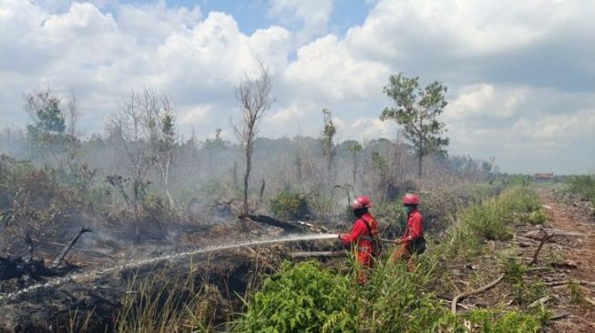Cuaca Panas, Lahan Seluas 3,5 Hektar di Singkawang Hangus Terbakar