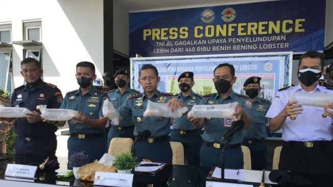 TNI AL gagalkan penyeludupan Lobster di Kepri [Antara]