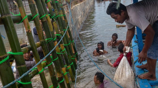 Foto udara personel kepolisian dari Polsek Kesatuan Pelaksanaan Pengamanan Pelabuhan (KP3) Tanjung Emas Semarang bersama warga dan relawan bergotong royong menutup tembok kawasan industri atau tanggul yang jebol dengan konstruksi pagar bambu dan karung berisi pasir dan batu di kawasan industri Pelabuhan Tanjung Emas Semarang, Jawa Tengah, Rabu (25/5/2022).  ANTARA FOTO/Aji Styawan