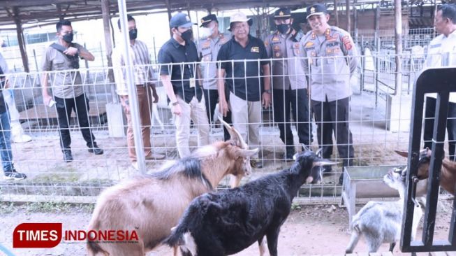 Peternakan Hewan di Perbatasan Majalengka Terus Dipantau, PMK Masih Aman