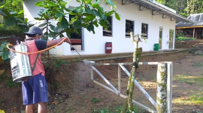 Petugas kesehatan melakukan penyemprotan tempat penampungan ternak di Kulon Progo. ANTARA/HO-Dinas Pertanian dan Pangan Kulon Progo