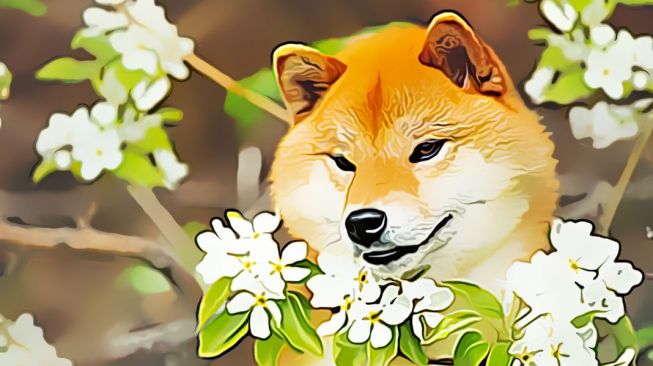 Mimpi Absurd 2.0: Harga Shiba Inu (SHIB) Jadi US$1