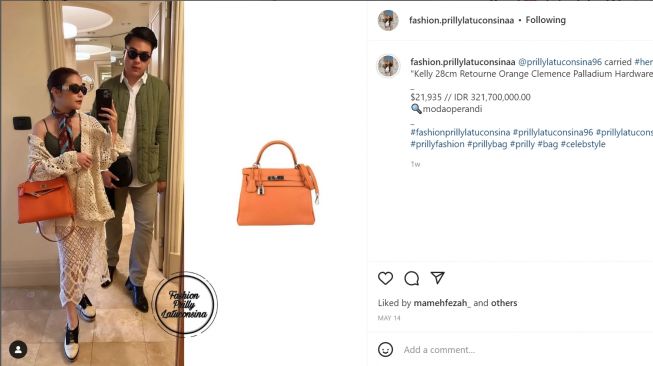 Hermes selebriti FANPAGE on Instagram: #prillylatuconsina carried