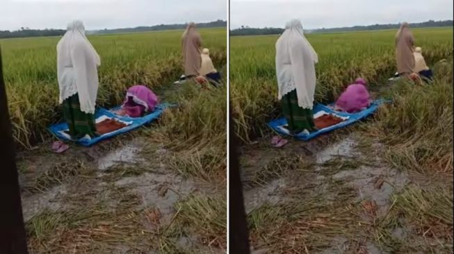 Bekerja Tanpa Lupa Tuhan, Potret Ibu-ibu Petani Salat di Sawah Bikin Hati Adem, Publik: Sungguh Indah