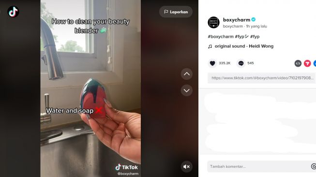 Foto: Beauty Blender (tiktok/boxycharm)